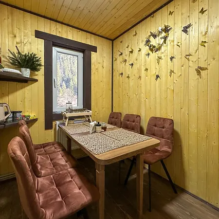 Emili House Апартаменты Krivorovnya