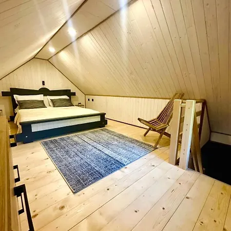 Emili House Krivorovnya