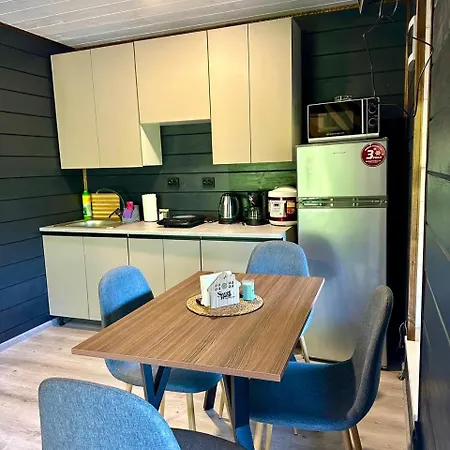 Emili House * Krivorovnya