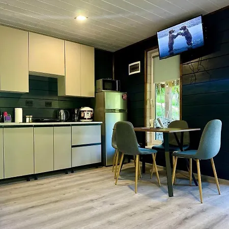 Emili House Апартаменты Krivorovnya
