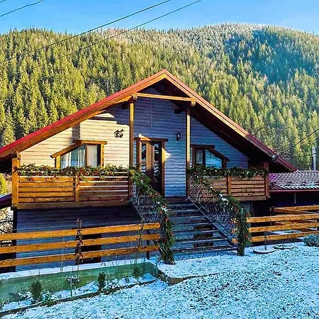 Апартаменты Emili House Krivorovnya