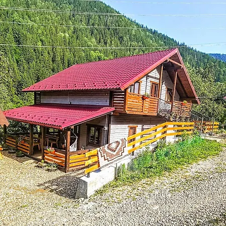 Emili House Krivorovnya