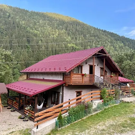 Emili House * Krivorovnya