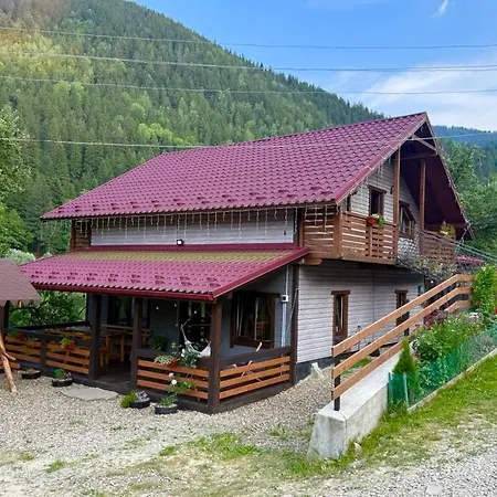 Апартаменты Emili House Krivorovnya