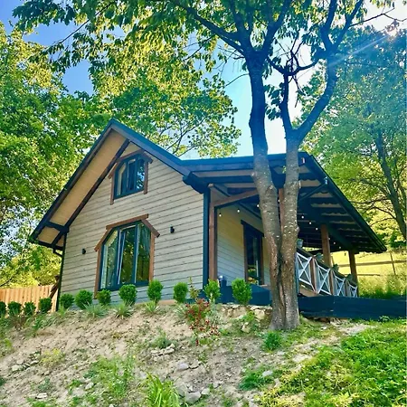 Apartment Emili House Krivorovnya