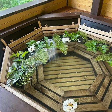 Апартаменты Emili House Krivorovnya