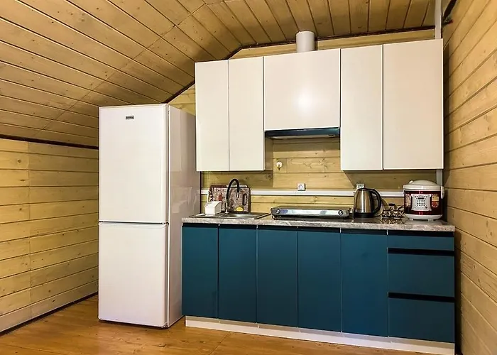 Emili House * Krivorovnya