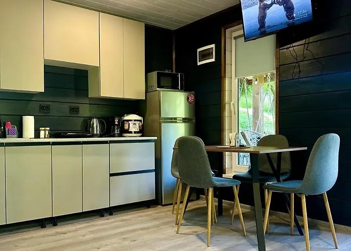 Emili House Apartamento Krivorovnya