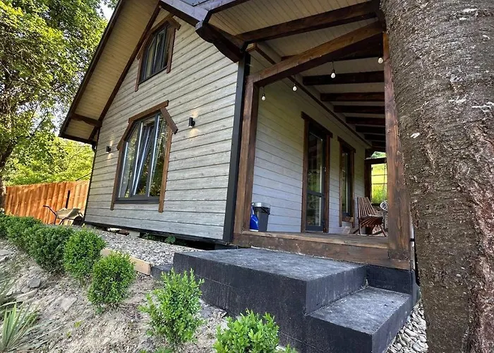 Emili House * Krivorovnya