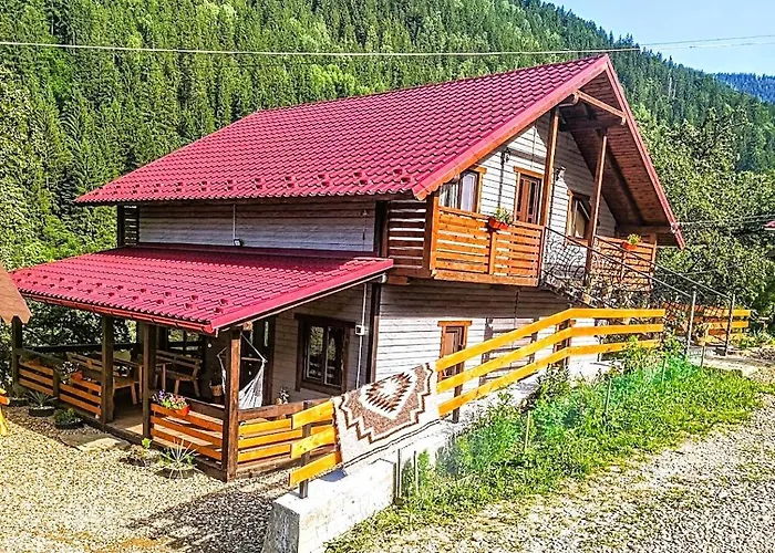 Emili House Krivorovnya
