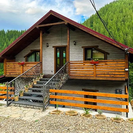 Apartment Emili House Krivorovnya